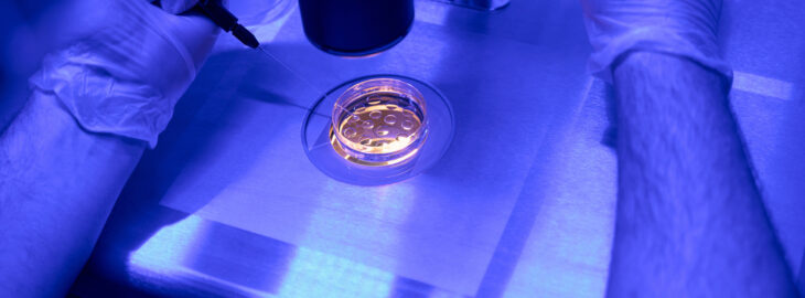 Man embryologist removing one cell from a developing embryo